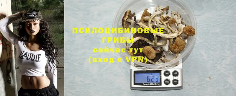 Псилоцибиновые грибы GOLDEN TEACHER  как найти наркотики  Рузаевка 